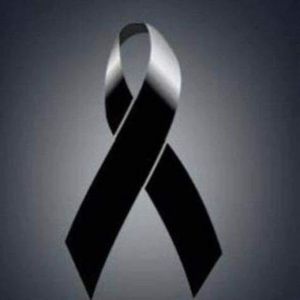 Meet your Posher, Manuel